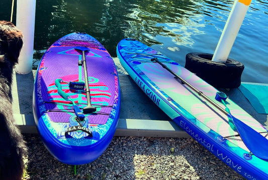 Intro Paddles